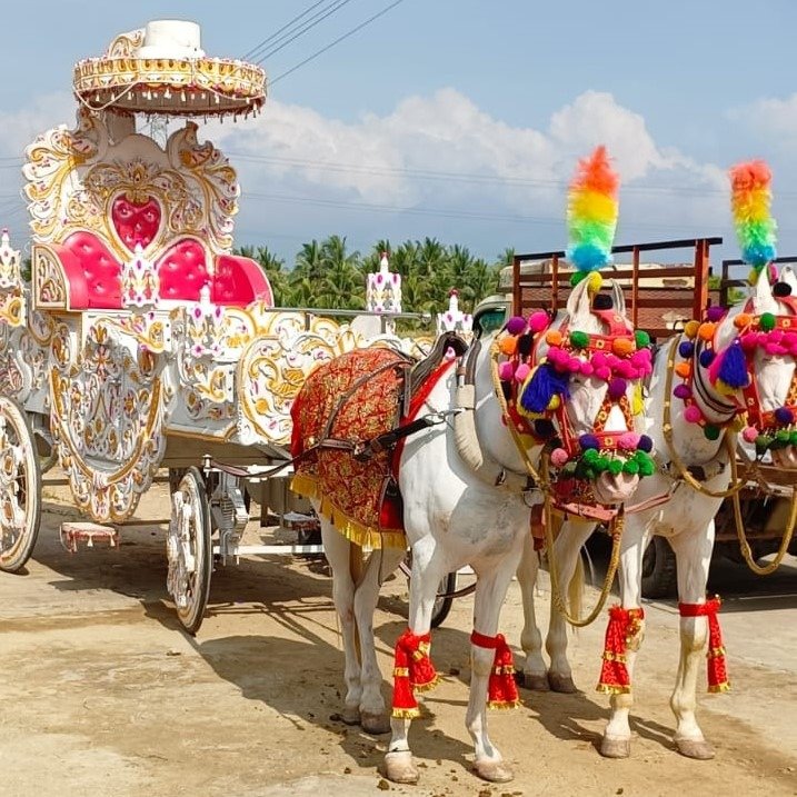 Royal Horse Carriage